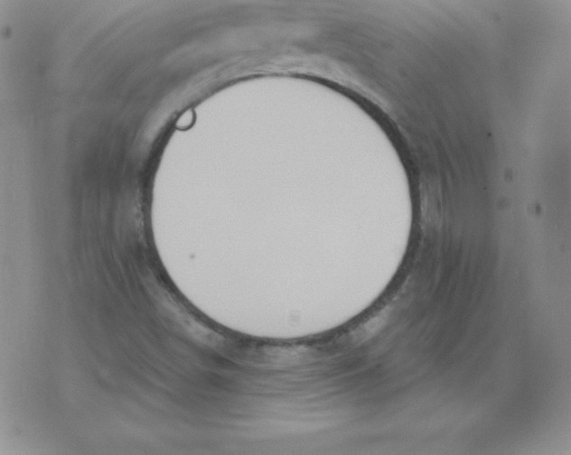 X0000071941498200607281930