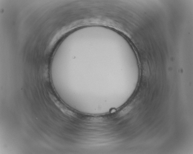 X0000071941499200607281930