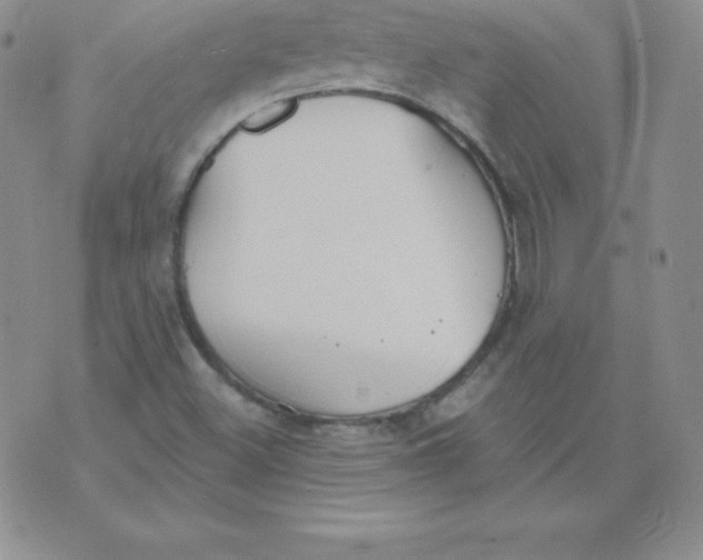 X0000071941500200607281930