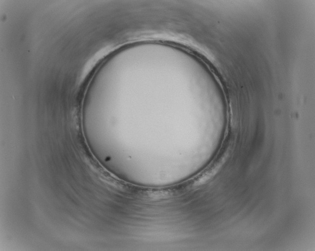 X0000071941501200607281930