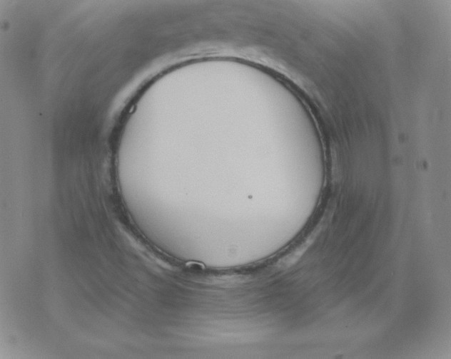 X0000071941502200607281930