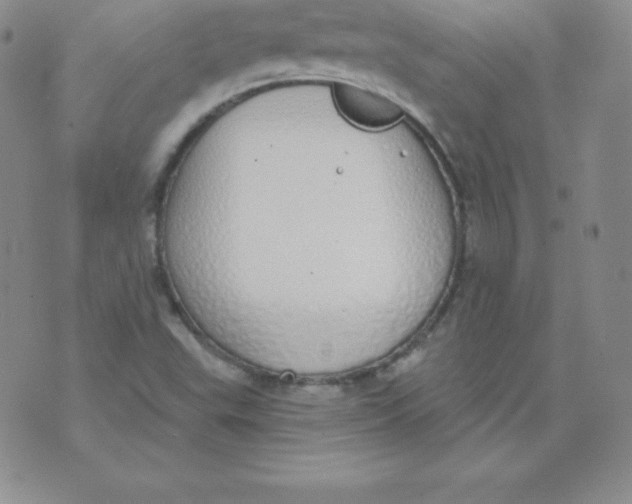 X0000071941503200607281930