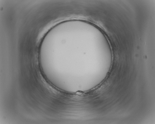 X0000071941504200607281930