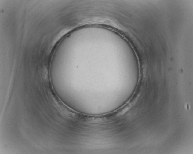 X0000071941505200607281930