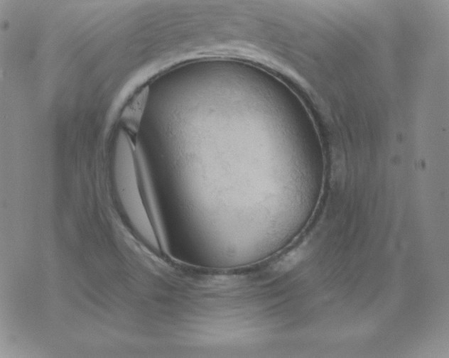 X0000071941506200607281930