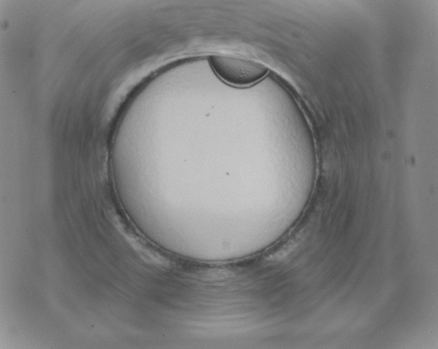 X0000071941507200607281930