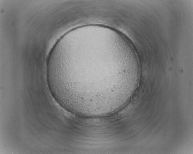 X0000071941508200607281930