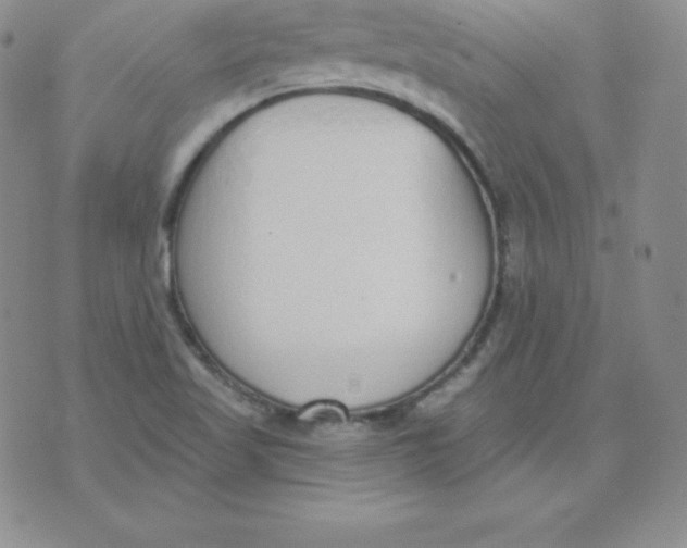 X0000071941509200607281930