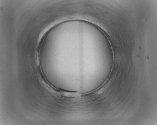 X0000071941510200607281930