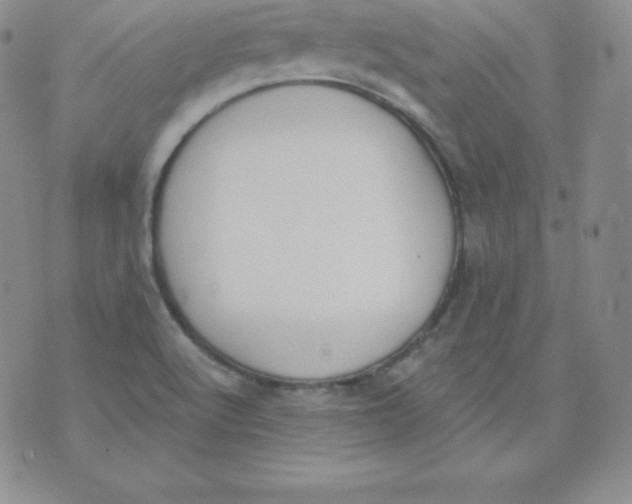 X0000071941512200607281930