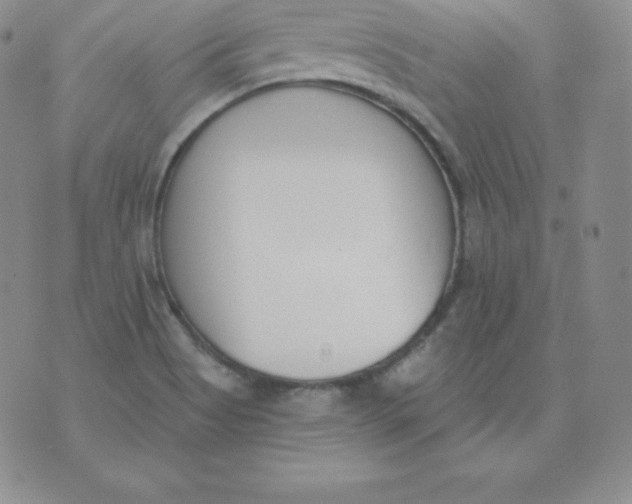 X0000071941513200607281931