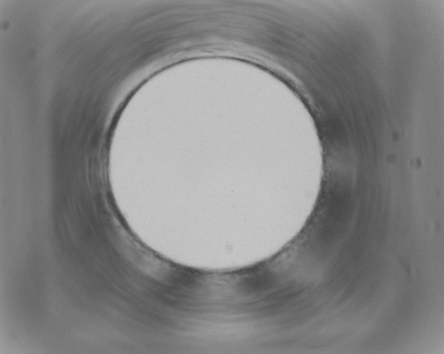 X0000071941514200607281931