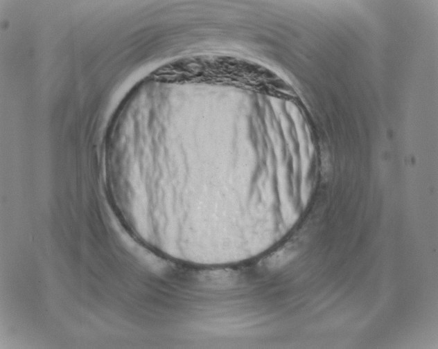 X0000071941515200607281931