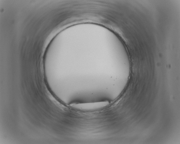 X0000071941516200607281931