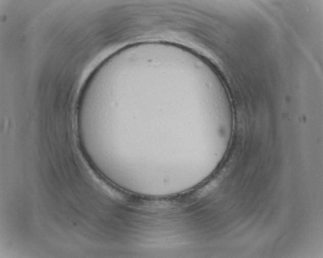 X0000071941517200607281931