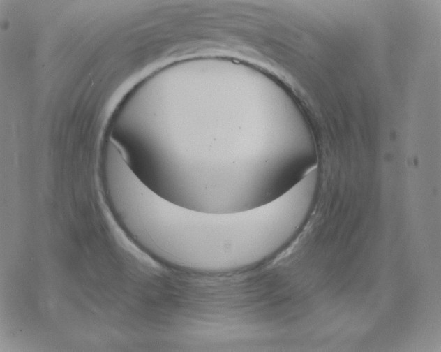 X0000071941518200607281931