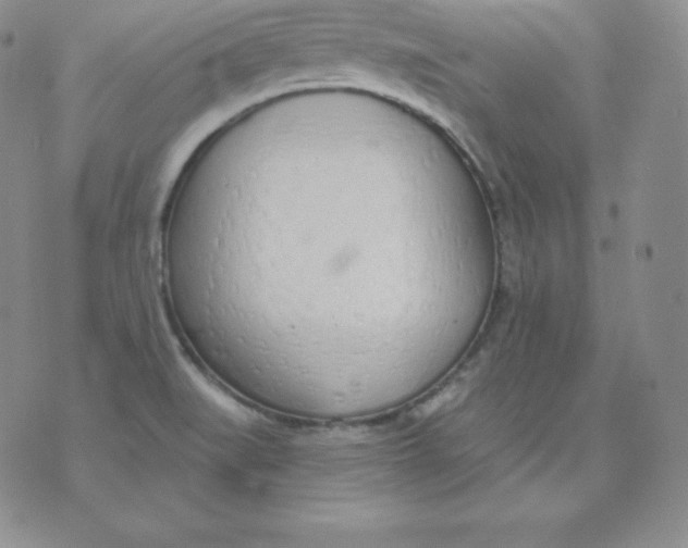 X0000071941519200607281931