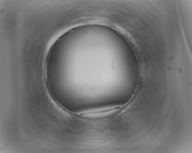 X0000071941520200607281931