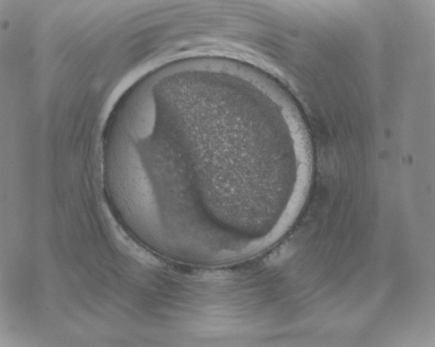 X0000071941522200607281931