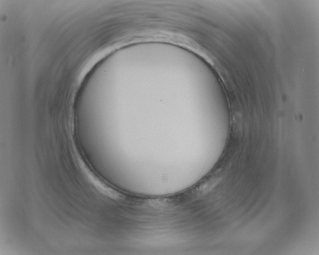 X0000071941523200607281931