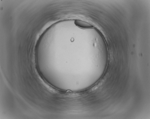 X0000071941525200607281931