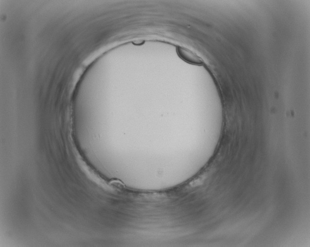 X0000071941526200607281931