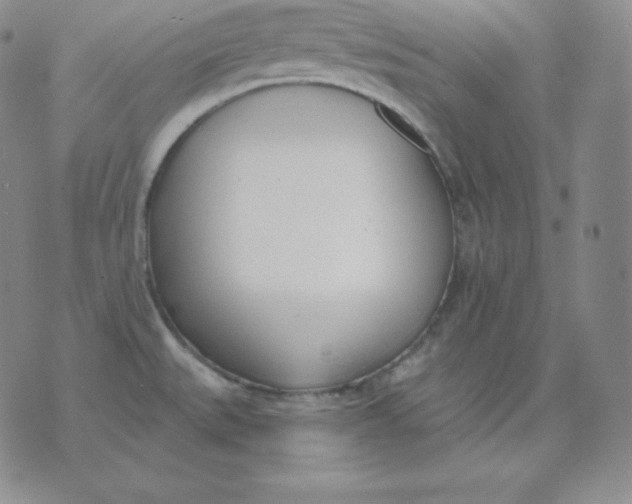 X0000071941527200607281931