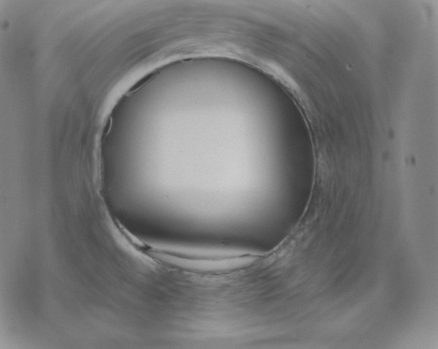 X0000071941528200607281931