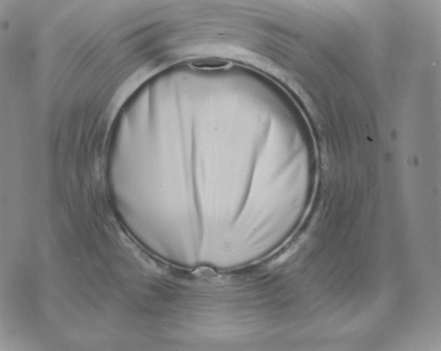 X0000071941529200607281931