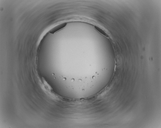 X0000071941530200607281931