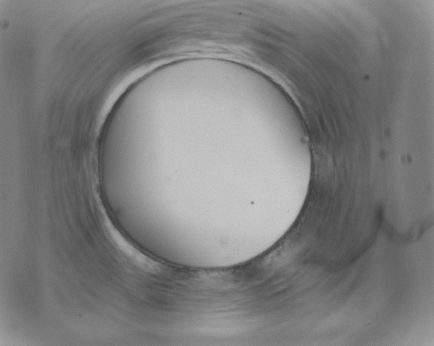 X0000071941531200607281931