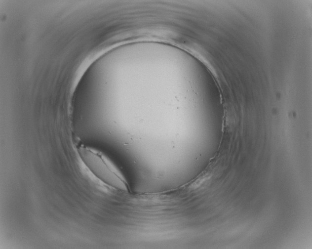 X0000071941532200607281931