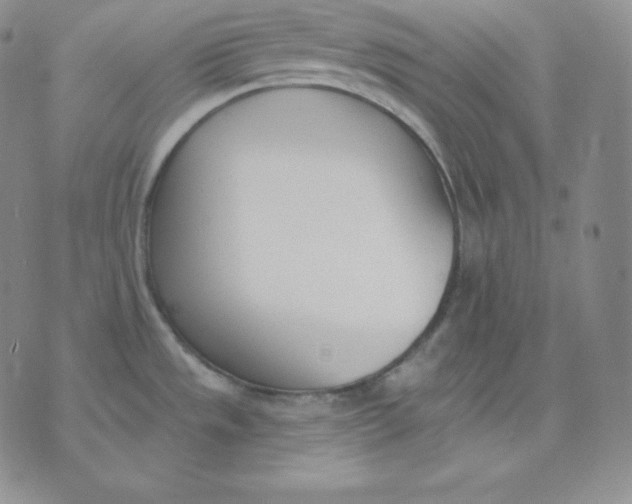 X0000071941533200607281931