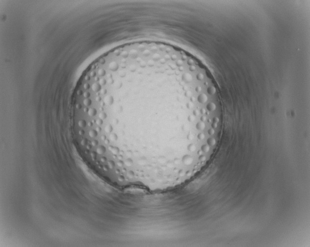 X0000071941534200607281931