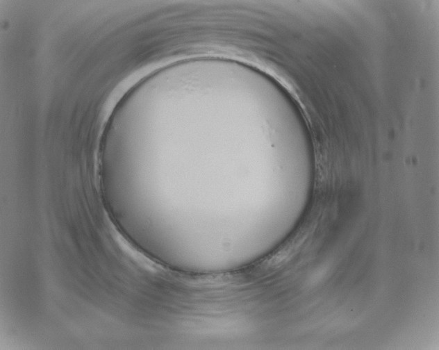 X0000071941535200607281931