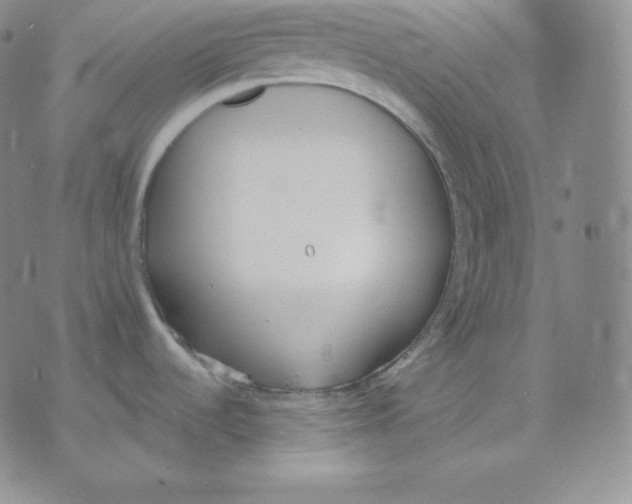 X0000071941536200607281931