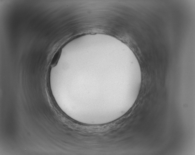 X0000071940001200608041539