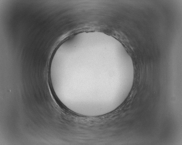 X0000071940003200608041539