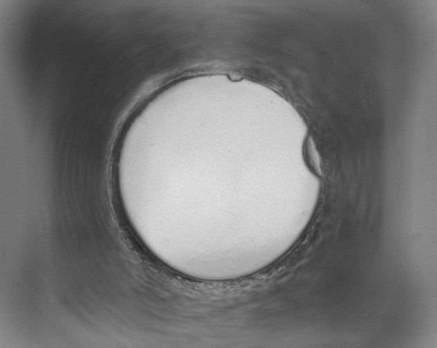 X0000071940006200608041539
