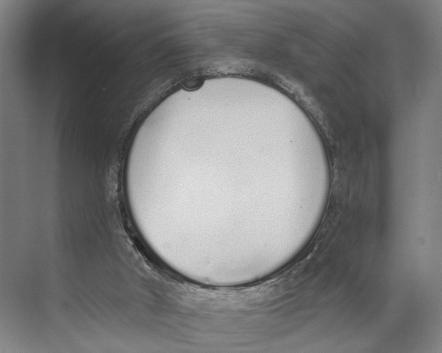 X0000071940010200608041539