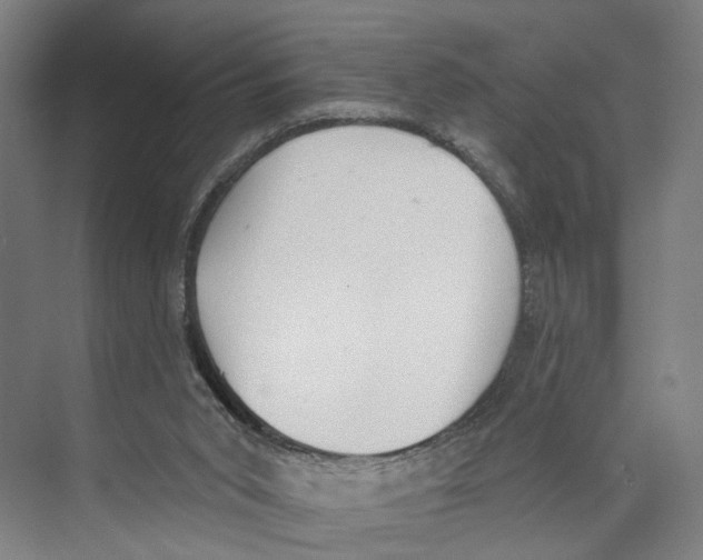 X0000071940015200608041539