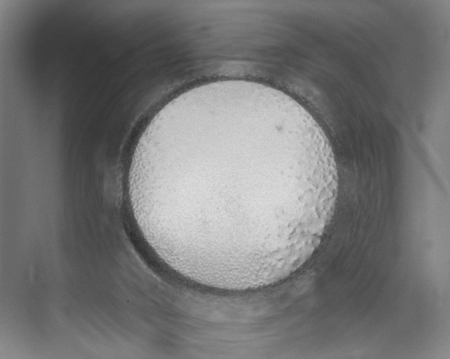 X0000071940016200608041539