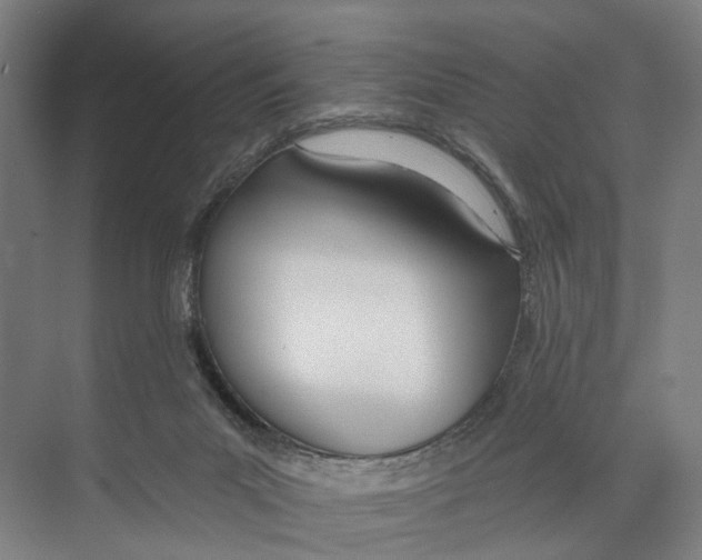 X0000071940023200608041539