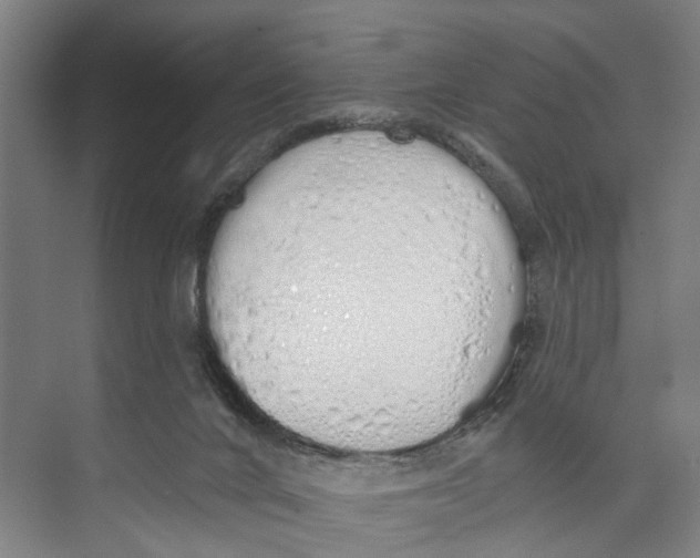 X0000071940024200608041539
