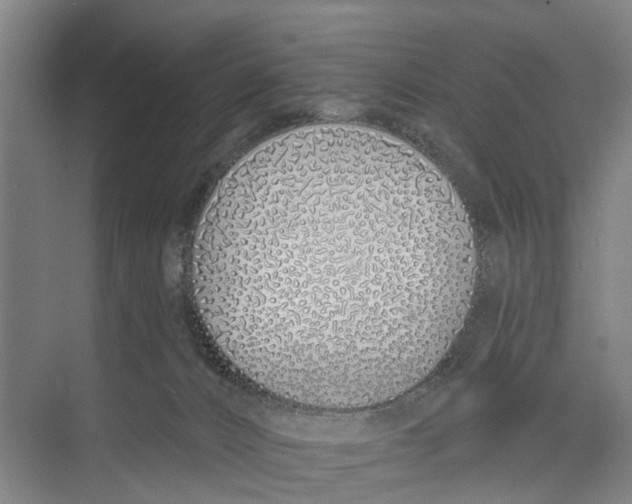 X0000071940032200608041539