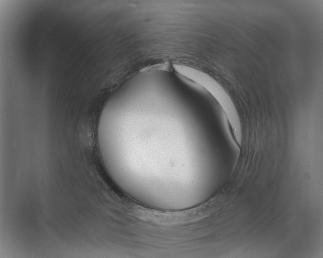 X0000071940039200608041539