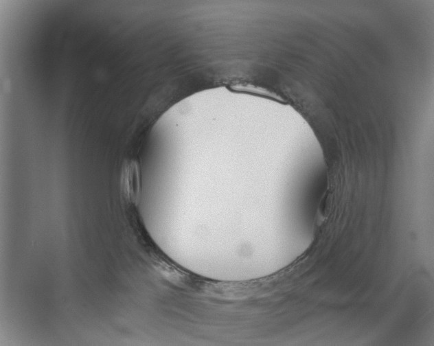 X0000071940041200608041538