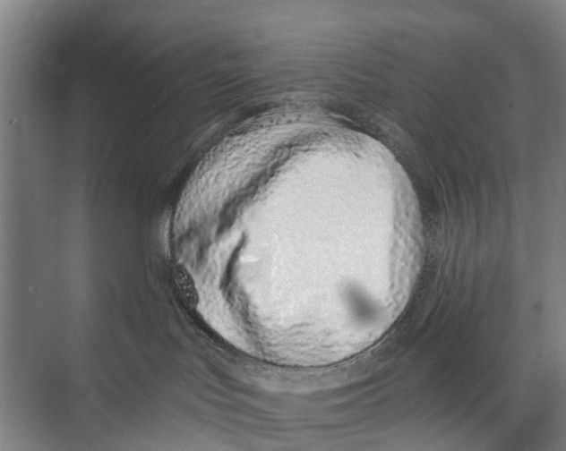 X0000071940047200608041538