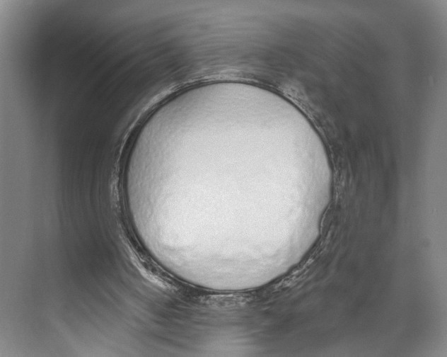X0000071940050200608041538