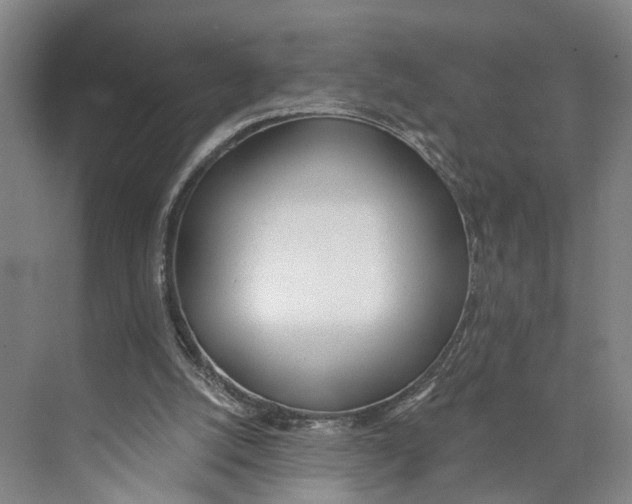 X0000071940056200608041538